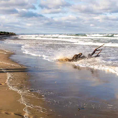 Wislany Zakatek 아파트